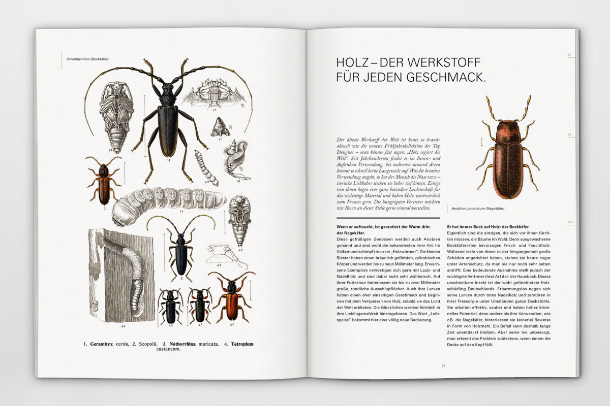 Kristina Nickel, Kundenmagazin, Broschüre, Reinzeichnung